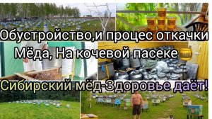 Процесс откачки мёда в 2023 На кочевой пасеки Как мы это обустроили и чем распечатываем медовые соты