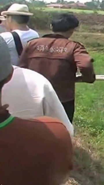 Teknik Memancing Ikan Ular (Sidat) #Shorts смотреть онлайн