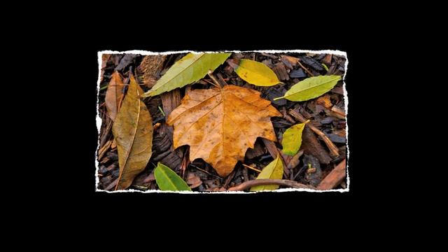 Your camera is your time capsule - make it count! смотреть онлайн