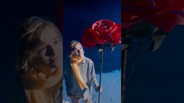Выбирайте колоду и узнайте карту и совет на вторник 11 июля от Елены Насоновой #советдня #картадня