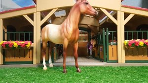 Распаковка посылки с лошадью Breyer