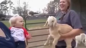 Я уверен что они друг друга поняли