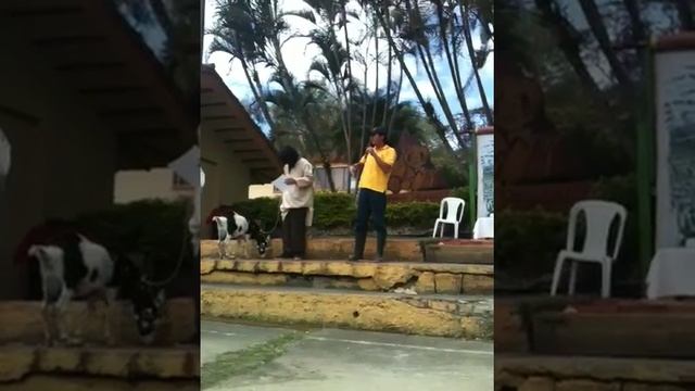 UPN salida segundo semestre silvania por Fabián salazar смотреть онлайн