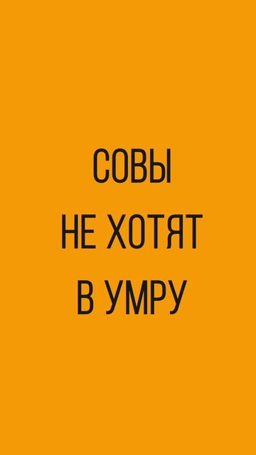 Совы смотрят на небо. А ты — поезжай туда, где небо ближе. Соверши Умру