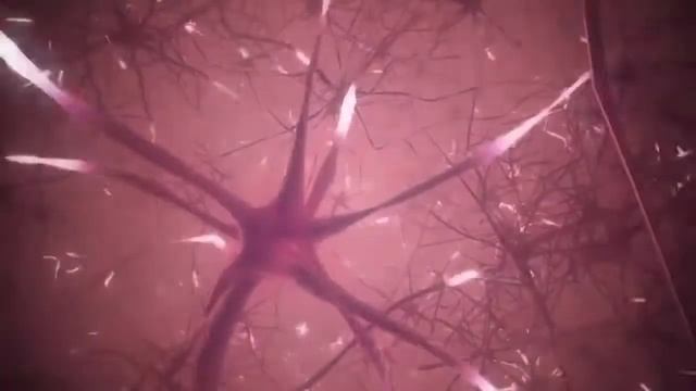 The New Valentus SlimROAST OPTIMUM Dark Roast Coffee смотреть онлайн