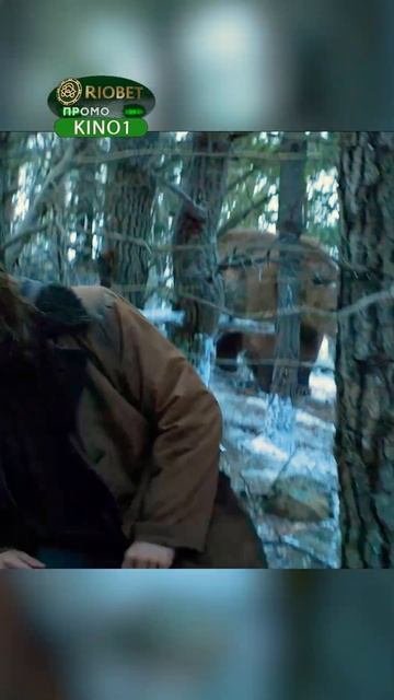 Росомаха и медведь делят территорию👌#shorts #short #сериалы #фильмы смотреть онлайн