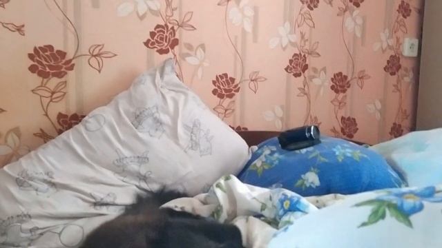 VLOG:диспорт не получила/ блэки меня испугала смотреть онлайн