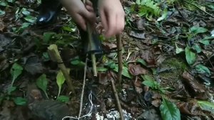 как ставить силок на птицу 😉