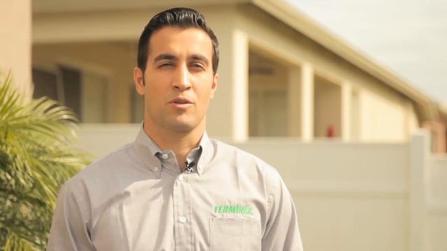 Why Do I Need Pest Control?
