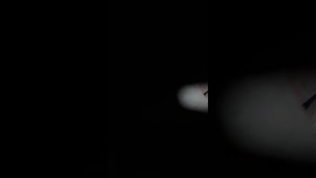 Streets of Memphis vlog ! смотреть онлайн