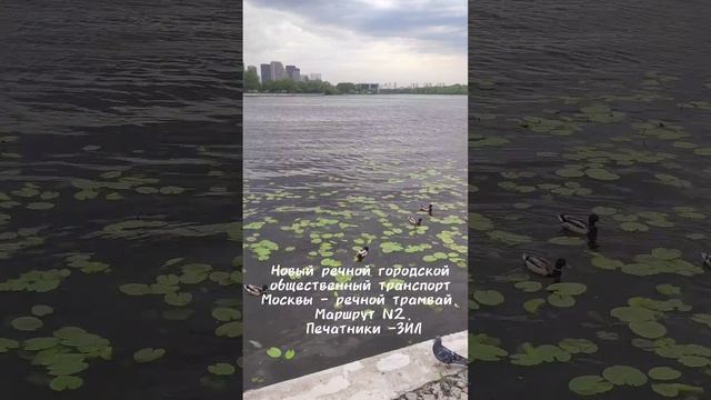 31 мая 2024 г. смотреть онлайн