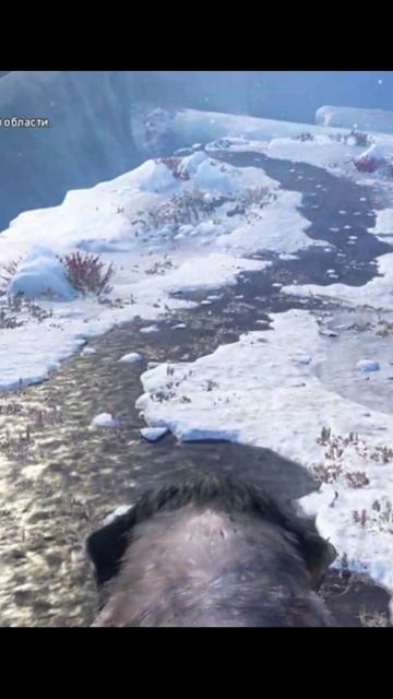 Far Cry Primal Сверху для контроля
