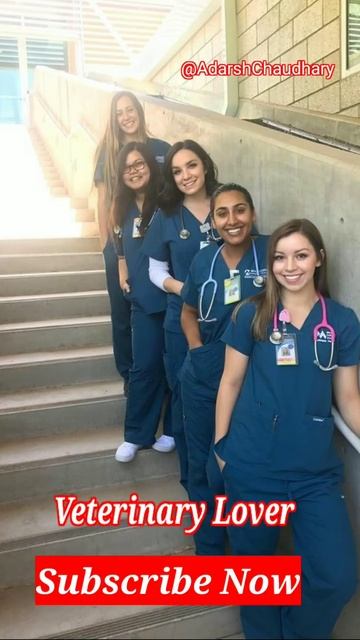 veterinary status | bvsc status | animal doctor status | animal lover status | neet status | #short смотреть онлайн