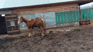 советский тяжеловоз