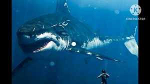 Существует ли Миголодон на самом деле? Ответ!