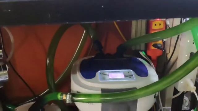 Аквариум с дискусами и Альтумами от Nguyễn Dũng смотреть онлайн