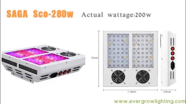 Saga LED Grow Light смотреть онлайн