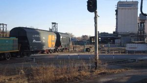"Нетерпеливый водятел" Тепловоз ТГМ23Б48-3261 с зерновозами производит манёвры