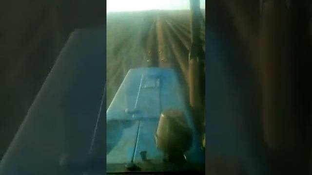 МТЗ-82Л работаем с капалкой Гримм