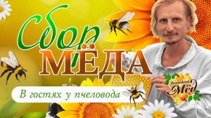 В гостях у пчеловода