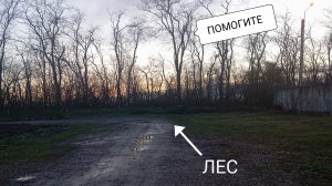 ПРОНИКЛИ В ЛЕС!