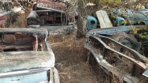 Заброшенные классические Американские автомобили в Канаде