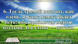 ВидеоБиблия Книга пророка Исаии без музыки глава 35 Соколов
