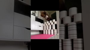 Рубрика «Ми-ми-ми», ведущий Александр Бовшик