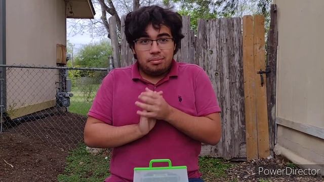 STUNG BY A QUEEN RED PAPER WASP (Polistes Carolina) смотреть онлайн