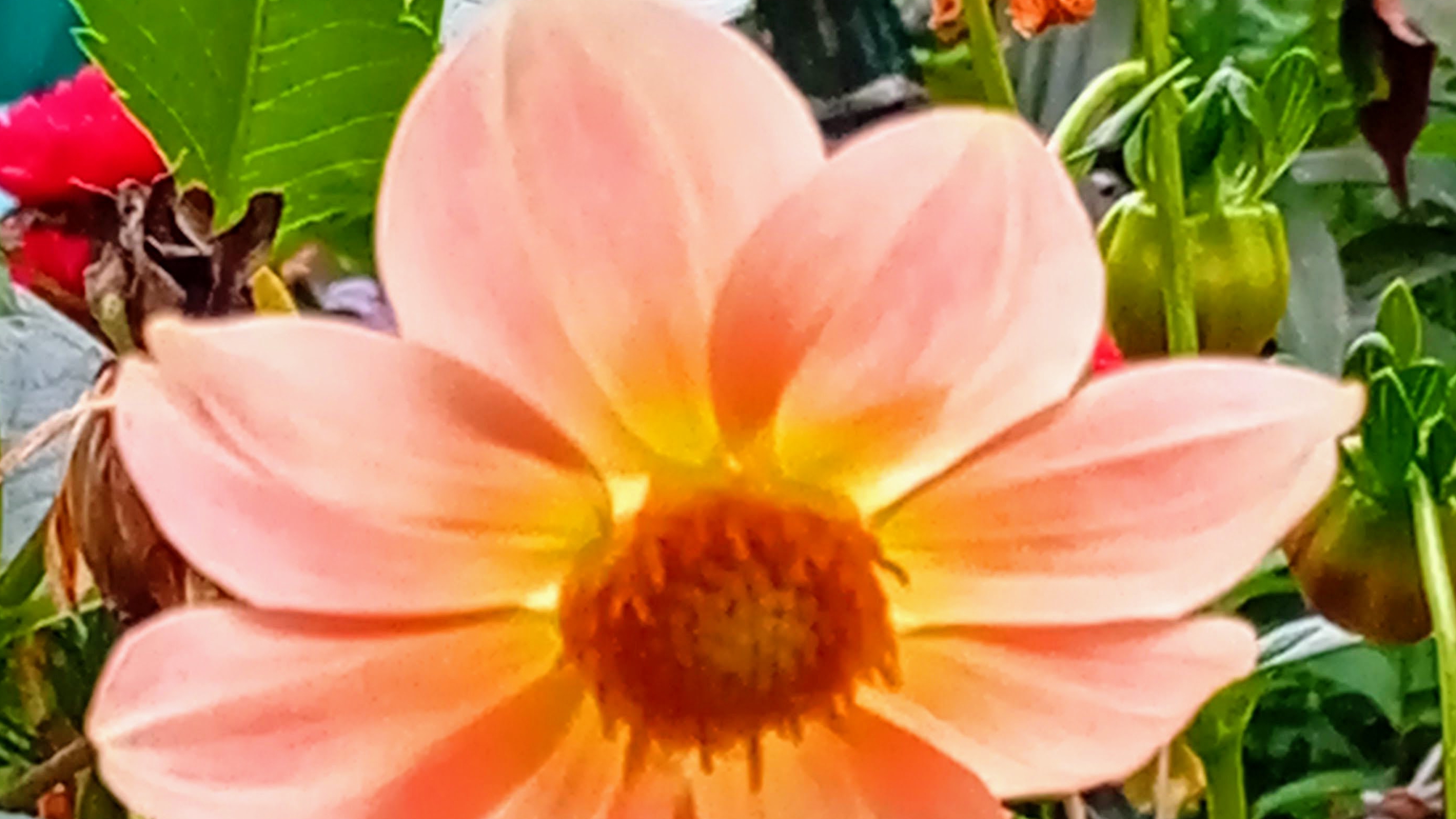 12-04-2025. аквапарк 3. 