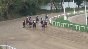 Московский ипподром. Скачки. 31.08.14. Скачка 11(69). БОЛЬШОЙ ВСЕРОССИЙСКИЙ ПРИЗ (ДЕРБИ)