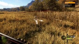 theHunter: Call of the Wild.Интересно это знать ружье 10 калибра