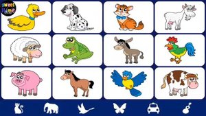 Videos Touch Animals - Frog, Dog, Goat....