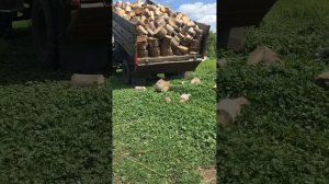 Газ 52 привёз дрова