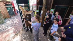 2024.07 Зеленоградск