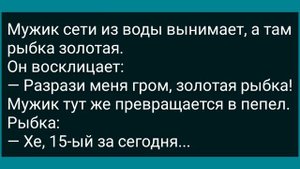 Как Казаку Жена Не Давала! Сборник Свежих Анекдотов! Юмор! Смех! Позитив!