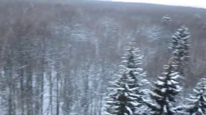 Лифты Ecomaks-(ЩЛЗ), муз. грузопасс. @ г. Москва, г. Троицк, пр-кт. Октябрьский, д. 15-1 (20)