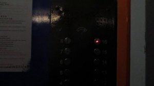 Грузопассажирский лифт КМЗ с купе МОС-OTIS @ г. Москва, г. Троицк, Октябрьский проспект, д. 11 (19)