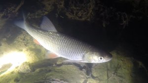 Малые реки центральной полосы