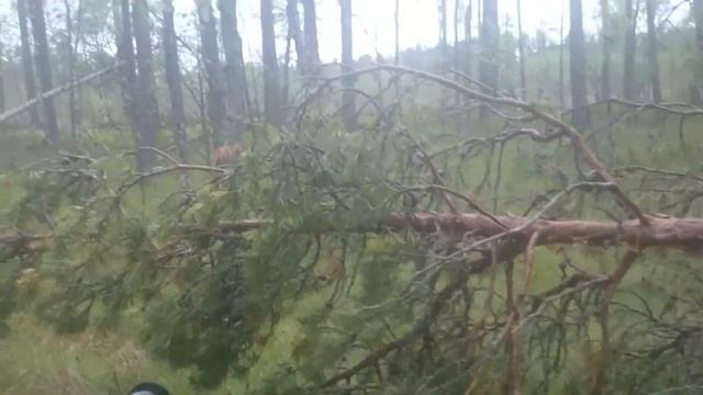 Байк на Болоте смотреть онлайн