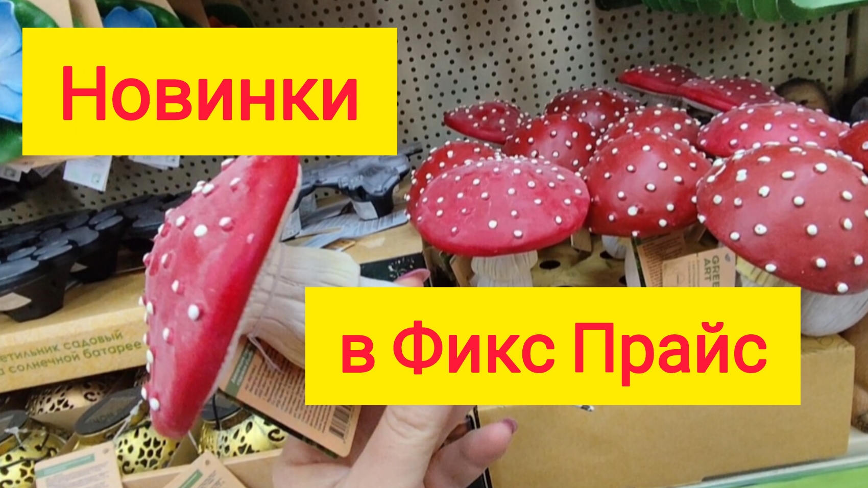 Переезд на ЮГ/У меня будет ЗОНА отдыха/Выписали/Володя сам сломал, сам и починил/Шикарный ремонт