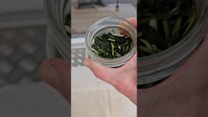 Ферментируем листья подорожника для чая, скручиваем.
