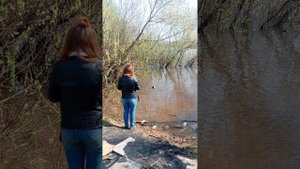 Покормили, уточек.