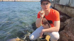 Факты об Мидиях