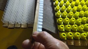 для вывода маток и сбора молочка