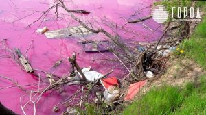 Розовое озеро появилось в Краснодаре