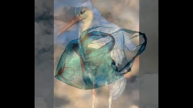 Мое слайд-шоу смотреть онлайн