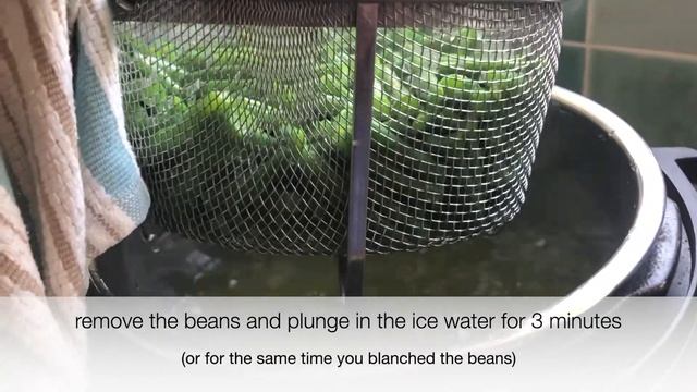 How to Blanch and Freeze Green Beans | Frugal Food Ideas