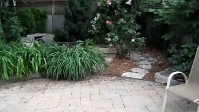 594 Willard Main & Lower, Toronto Real Estate For Sale смотреть онлайн