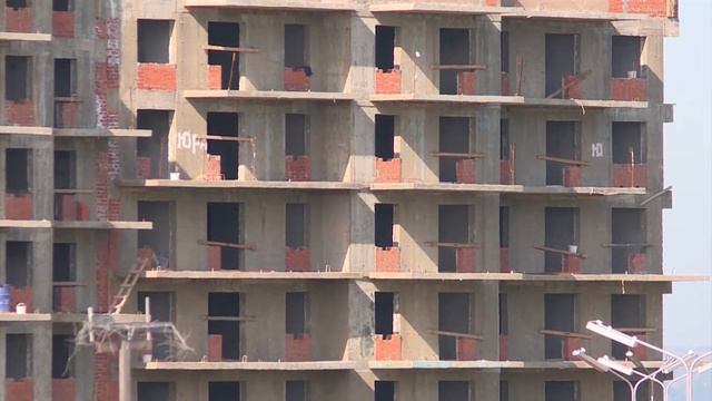 Сакура Иркутск 3